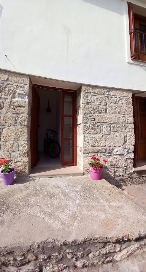 Agapis Apartment Petra (Lesbos)